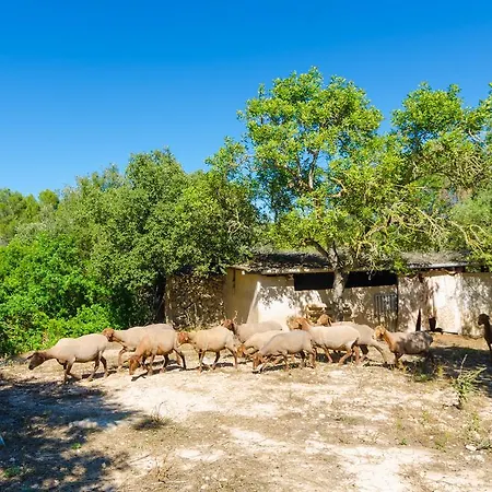 S'aresta Den Rumbet Villa Llucmajor (Mallorca)