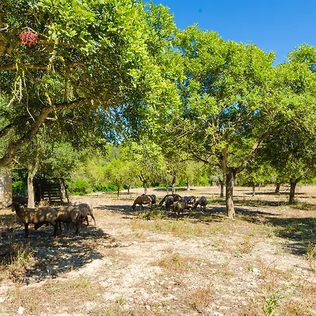 S'aresta Den Rumbet Villa *