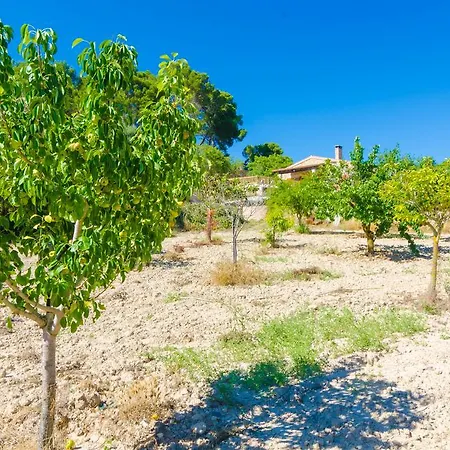 Villa S'aresta Den Rumbet